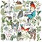 50PCS Vintage Scrapbook Butterfly Green Plants Stickers (Multicolored) 5 x 4 x 0.1 inches